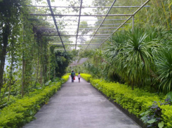 茂名森林公园 | 趣园 | 广东省茂名市