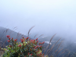 梧桐山 | 梧桐山风景区 | 深圳市梧桐山